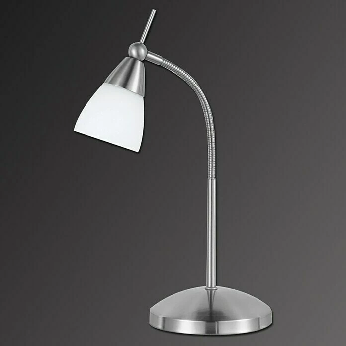 BAUHAUS Paul Neuhaus Tischleuchte Pino 40 W, L X B X H: 14 X 14 X 40 Cm, Nickel Matt, G9 4 BAUHAUS Paul Neuhaus Tischleuchte Pino 40 W, L X B X H: 14 X 14 X 40 Cm, Nickel Matt, G9 – Bild 2