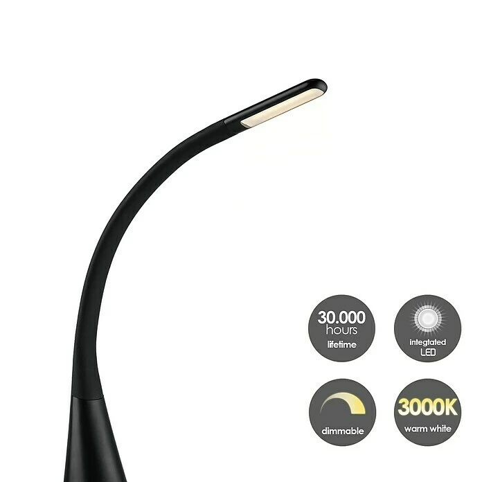 BAUHAUS LED-Tischleuchte 3,5 W, L X B X H: 28,5 X 28,5 X 66 Cm, Schwarz, Warmweiß 5 BAUHAUS LED-Tischleuchte 3,5 W, L X B X H: 28,5 X 28,5 X 66 Cm, Schwarz, Warmweiß – Bild 3