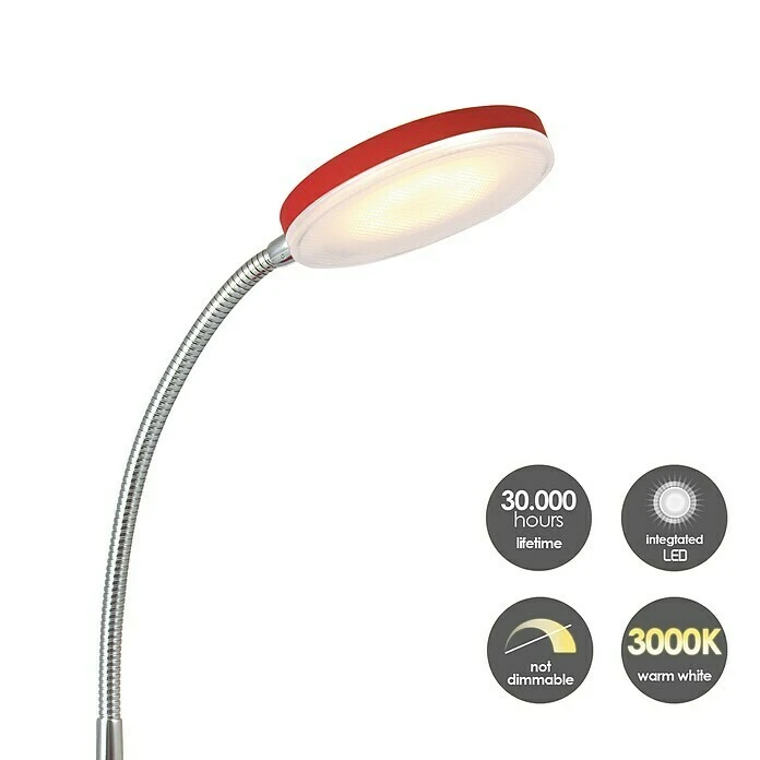 BAUHAUS LED-Tischleuchte Polly 5,5 W, L X B X H: 14 X 14 X 28 Cm, Rot, Warmweiß 5 BAUHAUS LED-Tischleuchte Polly 5,5 W, L X B X H: 14 X 14 X 28 Cm, Rot, Warmweiß – Bild 3