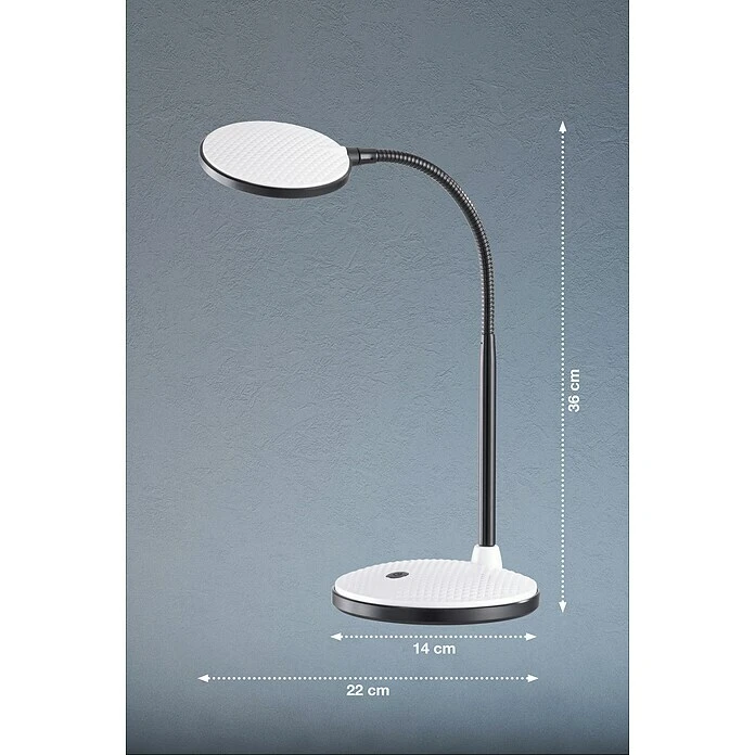 BAUHAUS Honsel Leuchten Tischleuchte Work 4,5 W, L X B X H: 22 X 14,3 X 36,5 Cm, Weiß 7 BAUHAUS Honsel Leuchten Tischleuchte Work 4,5 W, L X B X H: 22 X 14,3 X 36,5 Cm, Weiß – Bild 5