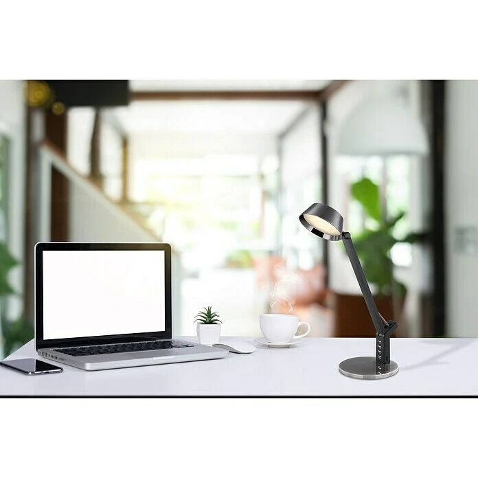BAUHAUS Globo LED-Tischleuchte URSINO 8 W, L X B X H: 18,5 X 7 X 46,5 Cm, Kaltweiß 5 BAUHAUS Globo LED-Tischleuchte URSINO 8 W, L X B X H: 18,5 X 7 X 46,5 Cm, Kaltweiß – Bild 3