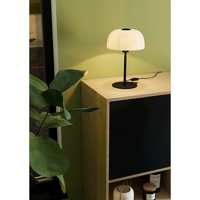 BAUHAUS Eglo Tischleuchte SOLO 2 40 W, Schwarz, E27 4 BAUHAUS Eglo Tischleuchte SOLO 2 40 W, Schwarz, E27 – Bild 2