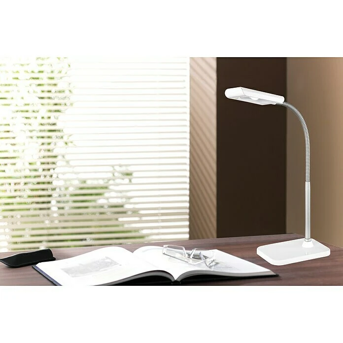 BAUHAUS Reality Leuchten LED-Tischleuchte Pico 3 W, L X B X H: 7 X 14 X 28 Cm, Weiß, Warmweiß 4 BAUHAUS Reality Leuchten LED-Tischleuchte Pico 3 W, L X B X H: 7 X 14 X 28 Cm, Weiß, Warmweiß – Bild 2