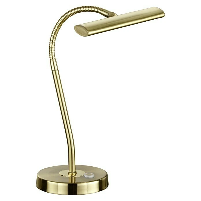 BAUHAUS Trio Leuchten LED-Tischleuchte Curtis 4 W, L X B X H: 15 X 18 X 35 Cm, Gold, Warmweiß 3 BAUHAUS Trio Leuchten LED-Tischleuchte Curtis 4 W, L X B X H: 15 X 18 X 35 Cm, Gold, Warmweiß
