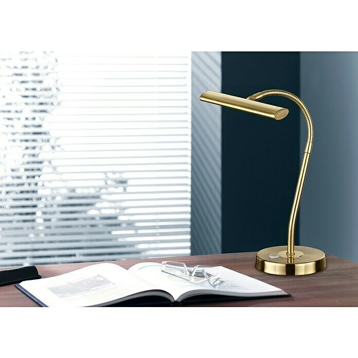 BAUHAUS Trio Leuchten LED-Tischleuchte Curtis 4 W, L X B X H: 15 X 18 X 35 Cm, Gold, Warmweiß 4 BAUHAUS Trio Leuchten LED-Tischleuchte Curtis 4 W, L X B X H: 15 X 18 X 35 Cm, Gold, Warmweiß – Bild 2