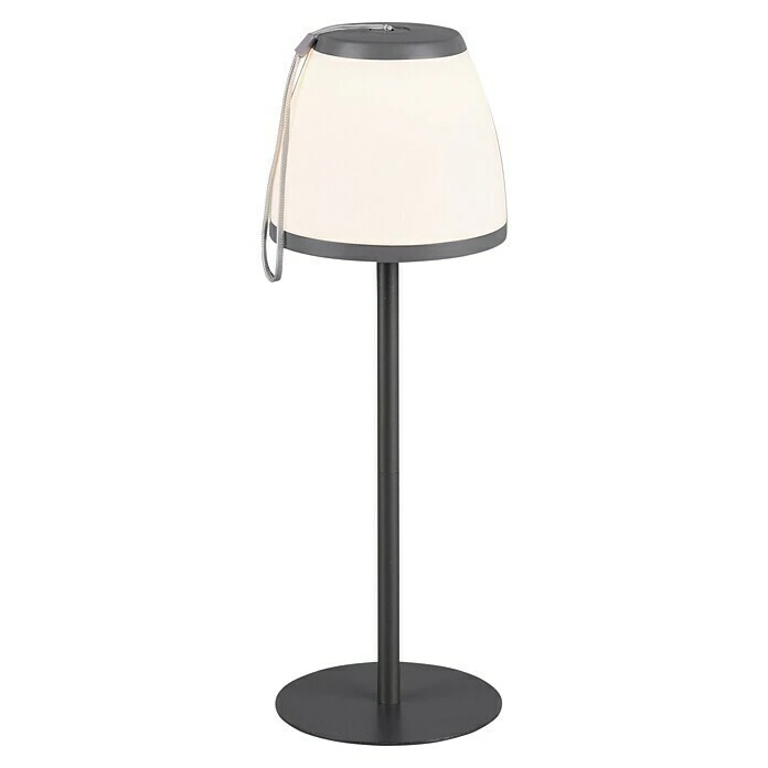 BAUHAUS Trio Leuchten LED-Tischleuchte Domingo 2 W, Ø X H: 12 X 35 Cm, Warmweiß 3 BAUHAUS Trio Leuchten LED-Tischleuchte Domingo 2 W, Ø X H: 12 X 35 Cm, Warmweiß