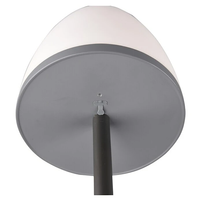 BAUHAUS Trio Leuchten LED-Tischleuchte Domingo 2 W, Ø X H: 12 X 35 Cm, Warmweiß 6 BAUHAUS Trio Leuchten LED-Tischleuchte Domingo 2 W, Ø X H: 12 X 35 Cm, Warmweiß – Bild 4