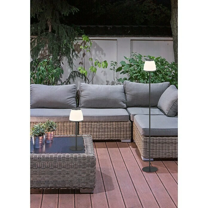 BAUHAUS Trio Leuchten LED-Tischleuchte Domingo 2 W, Ø X H: 12 X 35 Cm, Warmweiß 8 BAUHAUS Trio Leuchten LED-Tischleuchte Domingo 2 W, Ø X H: 12 X 35 Cm, Warmweiß – Bild 6