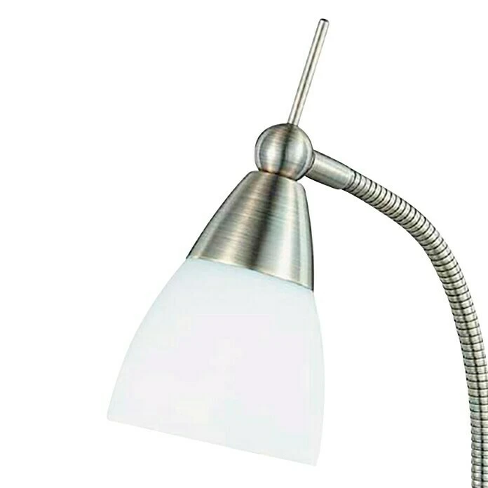 BAUHAUS Paul Neuhaus Pino Tischleuchte 28 W, L X B X H: 28 X 28 X 44,5 Cm, Altmessing, G9 4 BAUHAUS Paul Neuhaus Pino Tischleuchte 28 W, L X B X H: 28 X 28 X 44,5 Cm, Altmessing, G9 – Bild 2