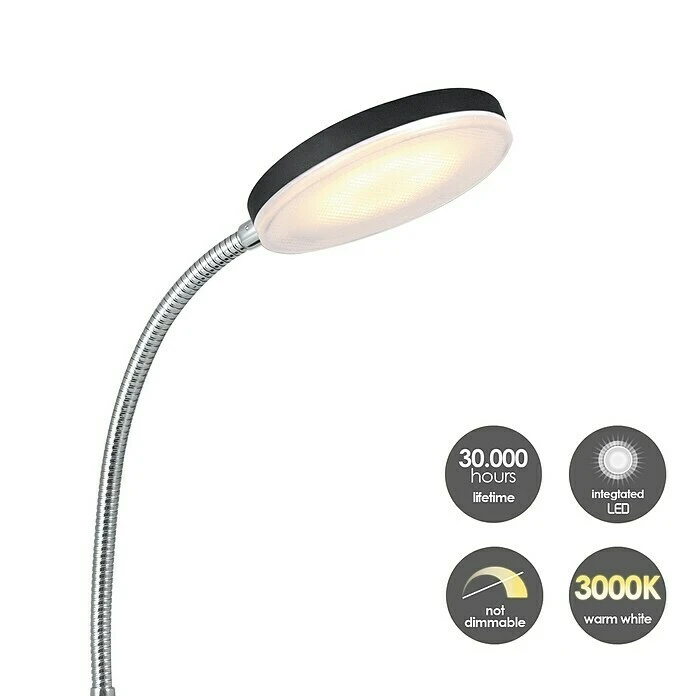 BAUHAUS LED-Tischleuchte Polly 5,5 W, L X B X H: 14 X 14 X 28 Cm, Schwarz, Warmweiß 5 BAUHAUS LED-Tischleuchte Polly 5,5 W, L X B X H: 14 X 14 X 28 Cm, Schwarz, Warmweiß – Bild 3